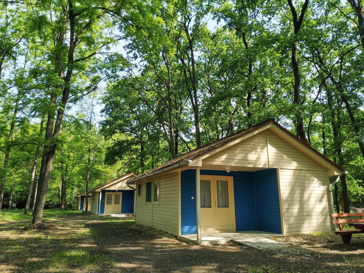 Hotel Dorcas Center&Camping Debrecín Exteriér fotografie